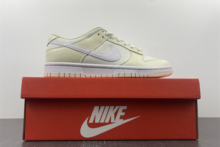 NIKE DUNK LOW DJ6188-100