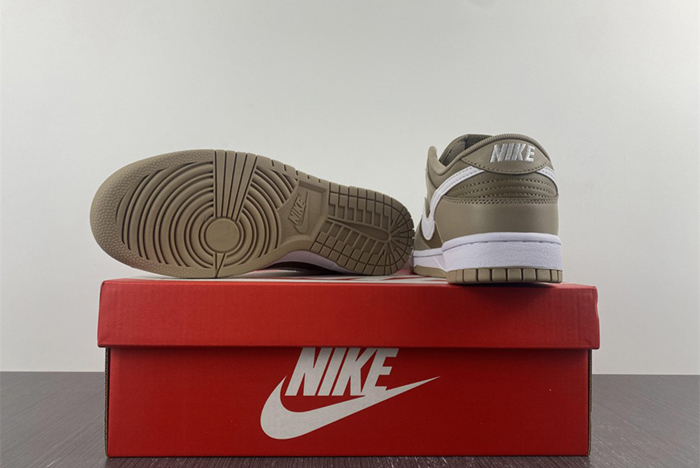 NIKE DUNK LOW RETRO DJ6188-200