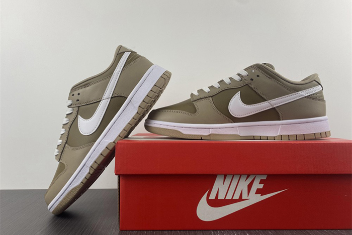 NIKE DUNK LOW RETRO DJ6188-200