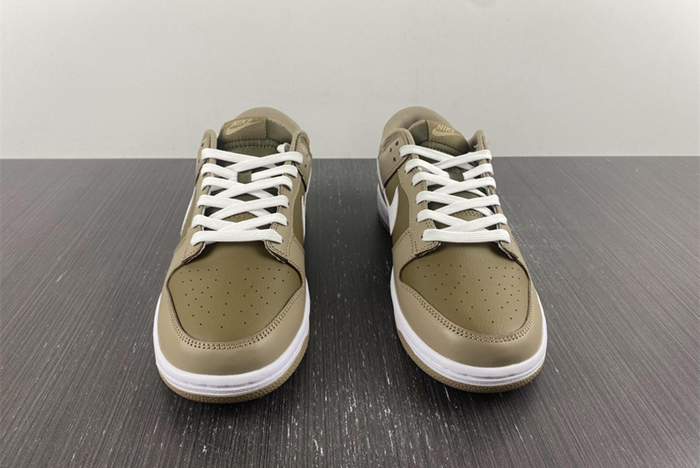 NIKE DUNK LOW RETRO DJ6188-200