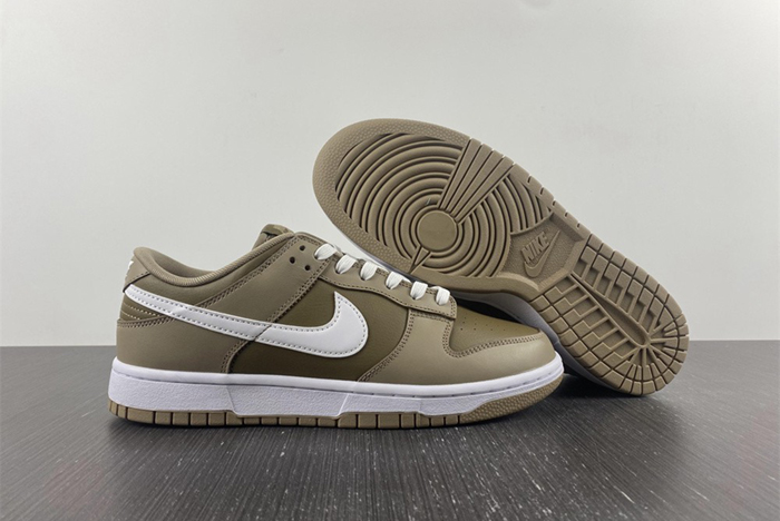 NIKE DUNK LOW RETRO DJ6188-200