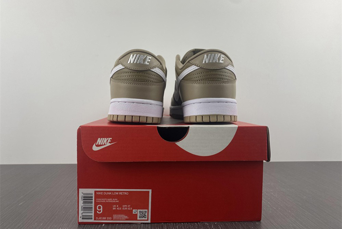 NIKE DUNK LOW RETRO DJ6188-200