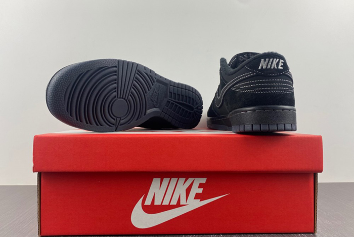 Nike Dunk Low  DM7866-002