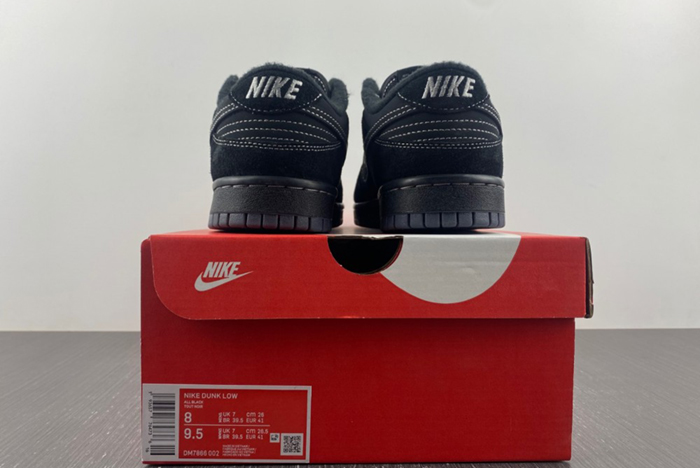 Nike Dunk Low  DM7866-002