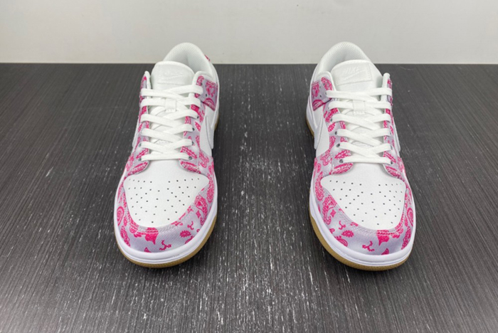 Nike SB Dunk Low Retro SP  CT5053-061