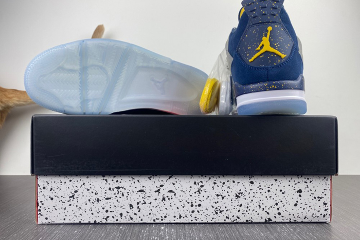 Air Jordan AJ4-1036660