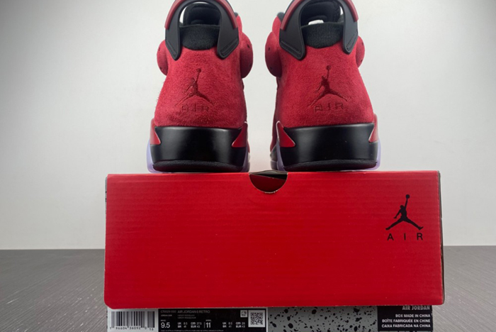 Air Jordan 6 CT8529-600