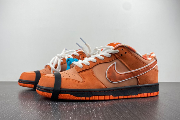 Concepts x Nike SB Dunk Low FD8776-800