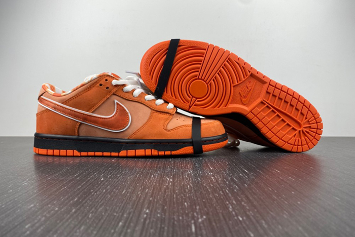 Concepts x Nike SB Dunk Low FD8776-800