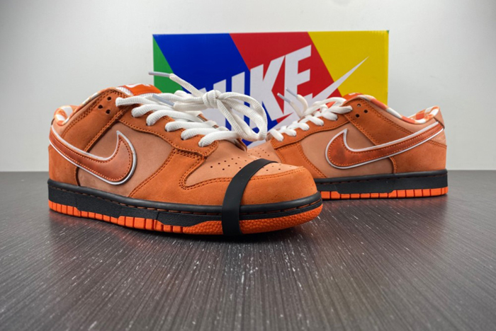 Concepts x Nike SB Dunk Low FD8776-800