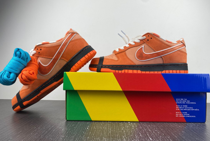 Concepts x Nike SB Dunk Low FD8776-800