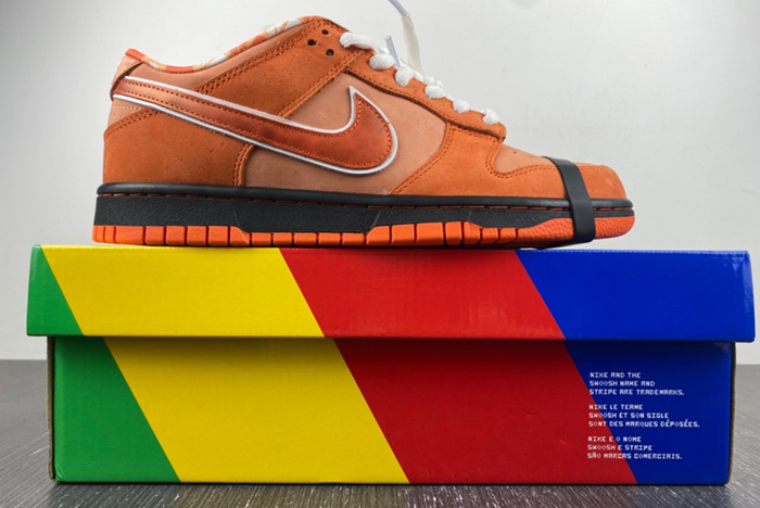 Concepts x Nike SB Dunk Low FD8776-800