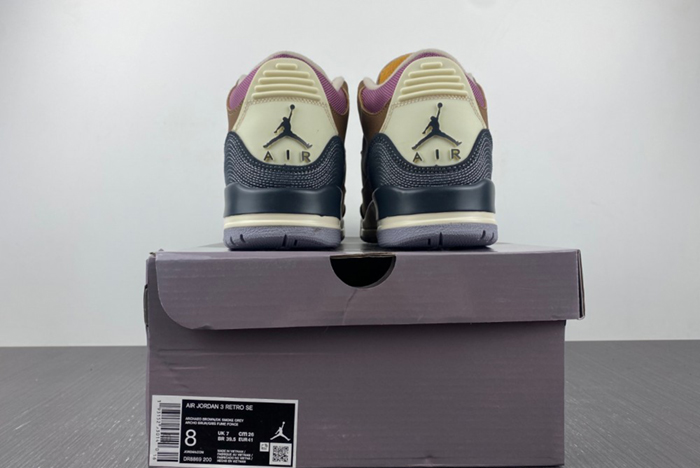 Air Jordan 3 Retro SE AJ3  DR8869-200
