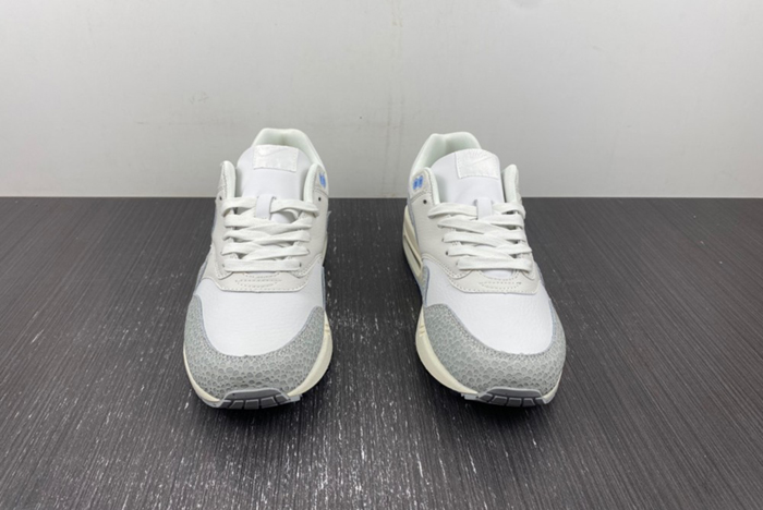 Nike Air Max 1 “Safari FB5059-100