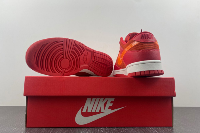 Nike Dunk Low ATL  FD0724-657