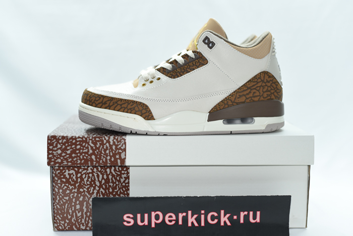 Air Jordan 3 “Palomino” CT8532-102