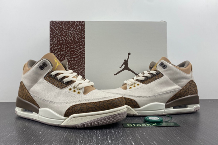 Air Jordan 3 “Palomino” CT8532-102