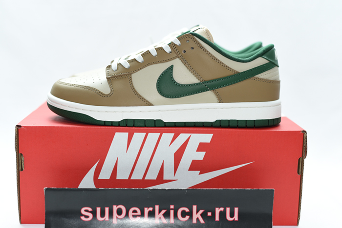 Nike Dunk Low Retro FB7160-231