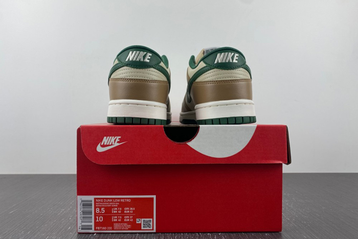 Nike Dunk Low Retro FB7160-231