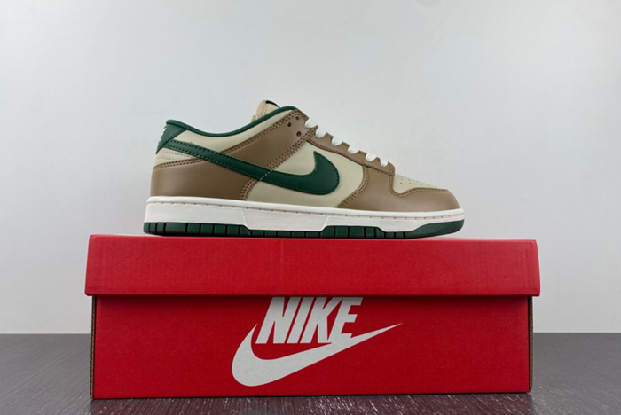 Nike Dunk Low Retro FB7160-231