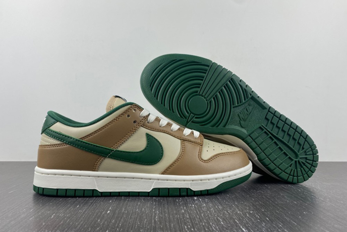 Nike Dunk Low Retro FB7160-231