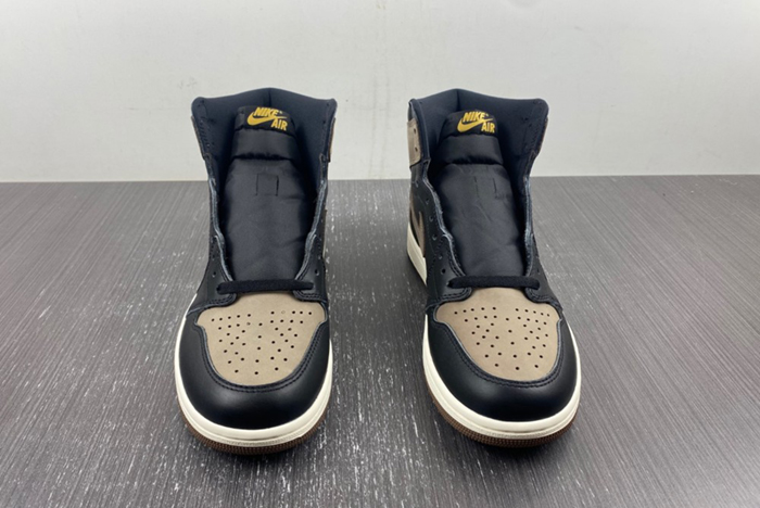 Air Jordan 1 High OG “Palomino” DZ5485-020