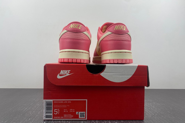 （NIKE） DUNK LOW (GS) DH9765-200