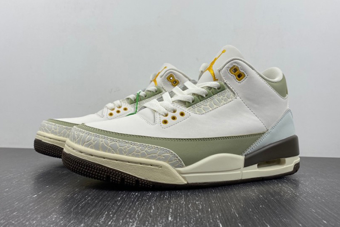 Air Jordan 3  DX6660-800