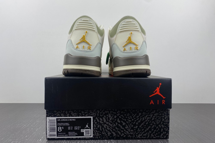 Air Jordan 3  DX6660-800