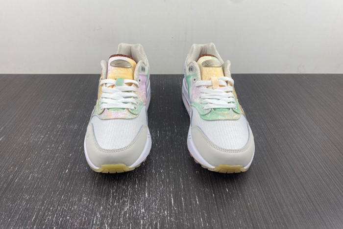 Nike Air Max 1 SNKRS FJ7734-101