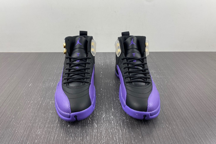 Nike Air Jordan 12 CT8013-057