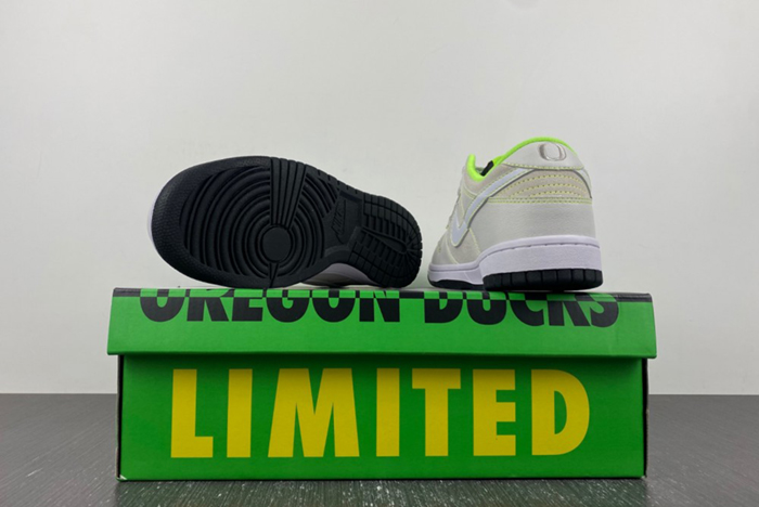 Dunk Low Oregon PE “Ducks of a Feather” FQ7260-001