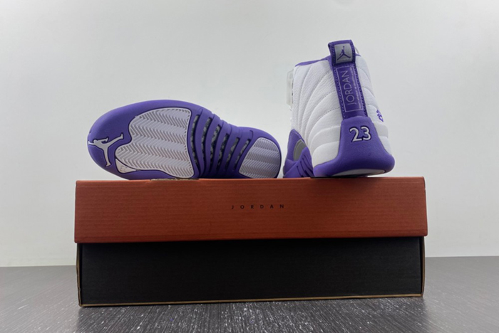 Nike Air Jordan 12 CT8013-150
