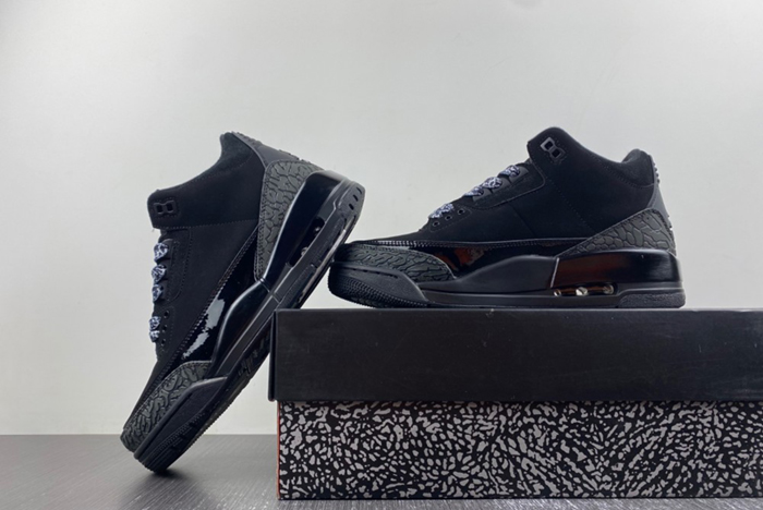 Air Jordan 3 CK9246-168