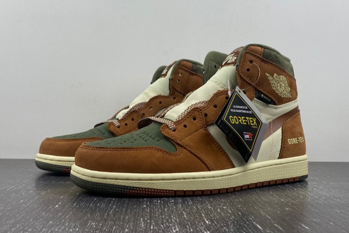 AJ1 Gore-Tex Jordan 1 High DB2889-100