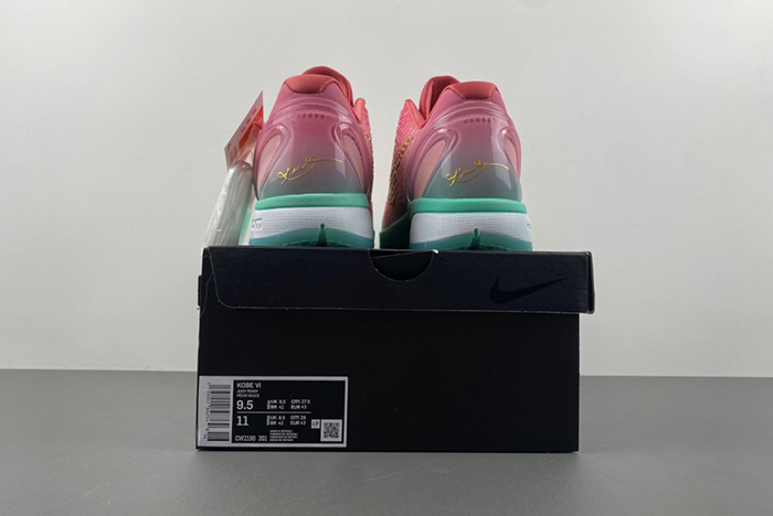 Zoom Kobe 6 ZK6 CM2190-201