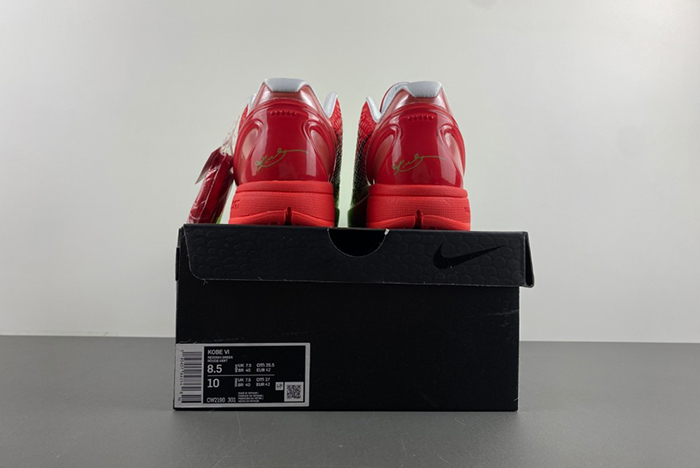 Kobe 6 Protro CW2190-301