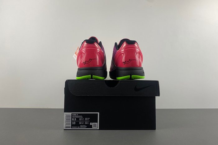 Kobe 6 Protro PE2023-102a